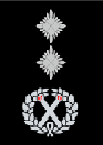 Deputy Commissioner