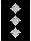 Chief Inspector